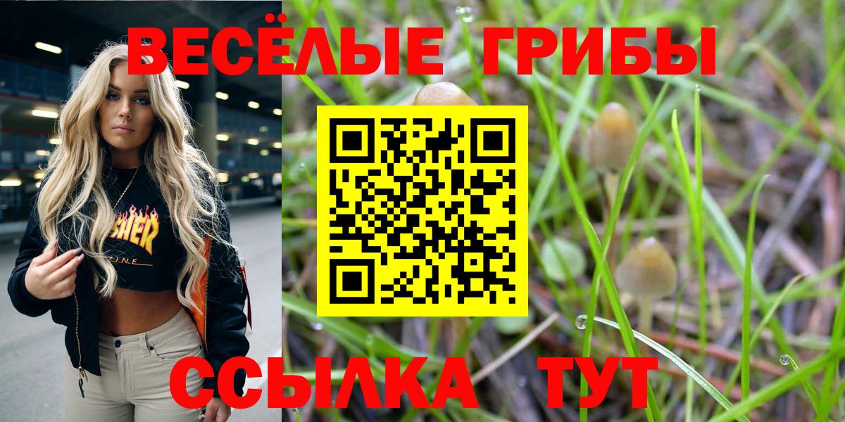 Псилоцибиновые грибы прущие грибы Артёмовский