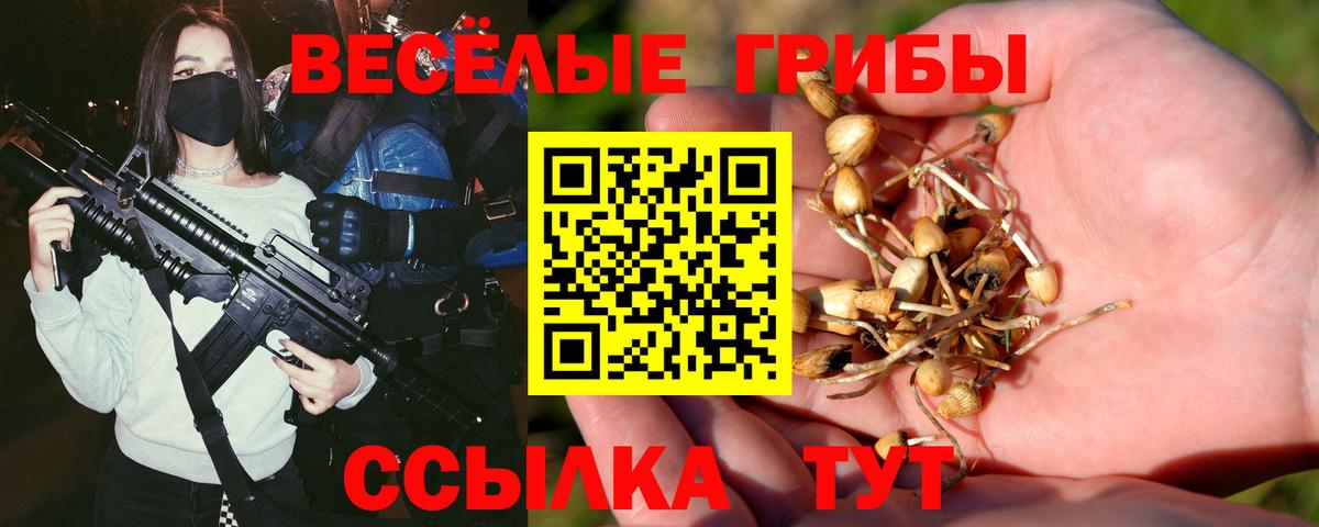 Артёмовский  Галлюциногенные грибы MAGIC MUSHROOMS  Вход с VPN 