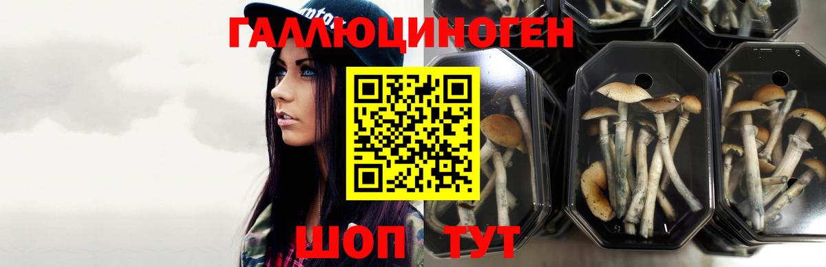 Галлюциногенные грибы мицелий  наркотики  Артёмовский 